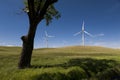Palouse Wind Farm Royalty Free Stock Photo